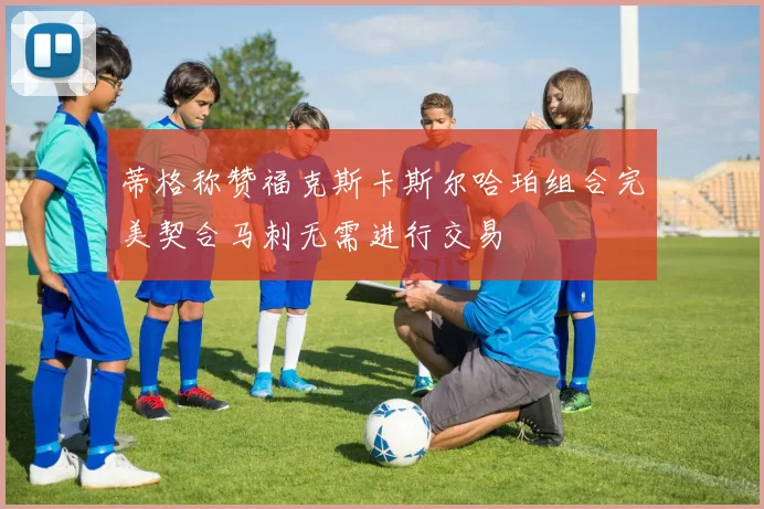 蒂格称赞福克斯卡斯尔哈珀组合完美契合马刺无需进行交易
