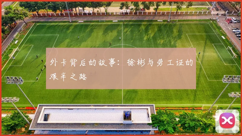 外卡背后的故事：徐彬与劳工证的艰辛之路