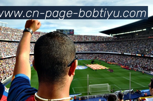 BOB体育APP 封面图